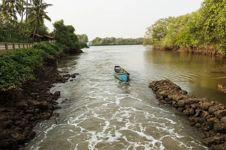 A small blue rowboat moored in a calm river surrounded by trees.